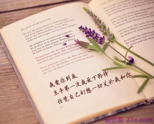 友情胜过爱情的句子(友情比爱情重要的句子)