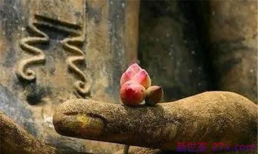 对爱情大彻大悟的句子(看淡了大彻大悟的句子)