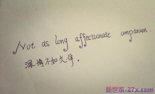 感动爱情的句子(爱情箴言感动的句子)