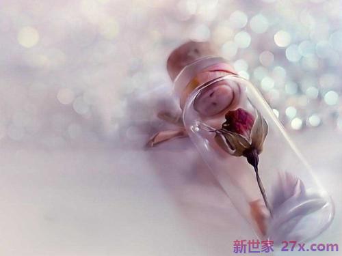 爱情的甜美句子(描写甜美爱情的优美句子)