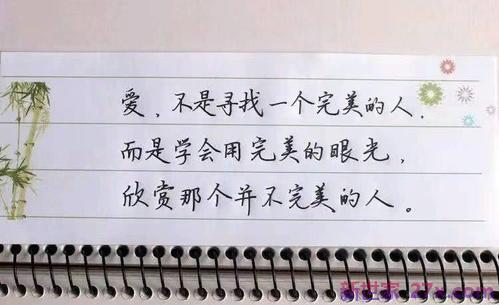 打动人心爱情表白句子(打动人心的爱情长句子)