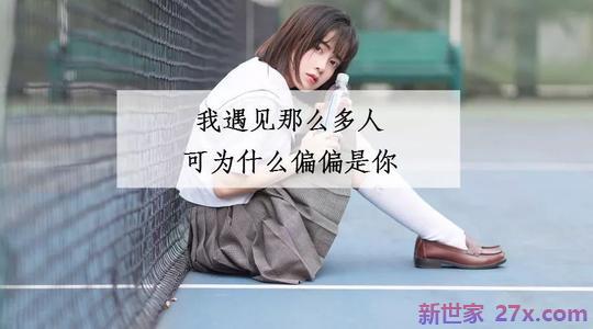 关于爱情社会磕句子(关于爱情的句子伤感)