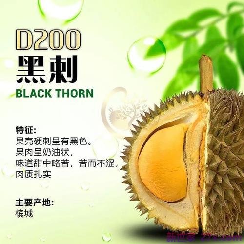 榴莲代表爱情的句子(代表爱情的英文句子)