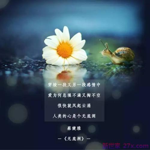 爱情绝望的句子(对爱情欺骗伤透绝望的句子)