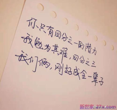 浪漫的英语爱情句子(浪漫的英语爱情句子电影)