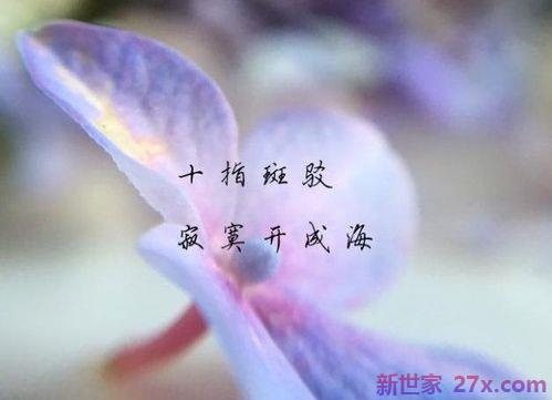 一辈子的句子爱情(一辈子同学情的句子)