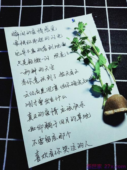 英语优美句子摘抄爱情(优美的句子摘抄爱情伤感)