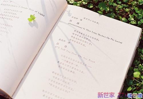 爱情告白的句子(回应接受告白句子)