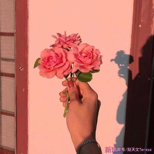 相濡以沫爱情唯美句子(相濡以沫爱情唯美句子图片带字)