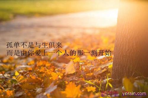 形容甜蜜爱情的句子(夫妻甜蜜爱情句子)