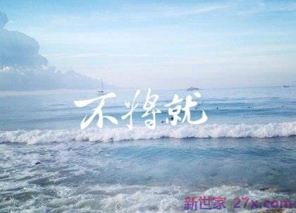 爱情不将就的句子(形容爱情将就的句子)
