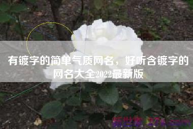 有镀字的简单气质网名，好听含镀字的网名大全2022最新版