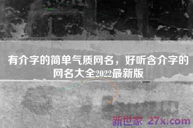 有介字的简单气质网名，好听含介字的网名大全2022最新版