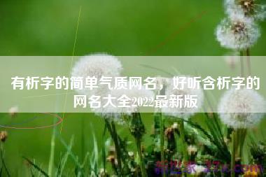 有析字的简单气质网名，好听含析字的网名大全2022最新版