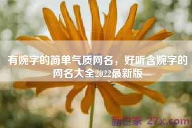 有婉字的简单气质网名，好听含婉字的网名大全2022最新版