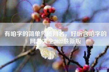 有咱字的简单气质网名，好听含咱字的网名大全2022最新版
