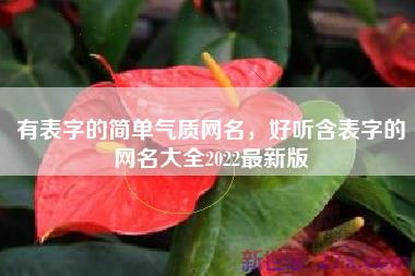 有表字的简单气质网名，好听含表字的网名大全2022最新版