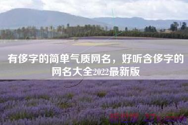 有侈字的简单气质网名，好听含侈字的网名大全2022最新版