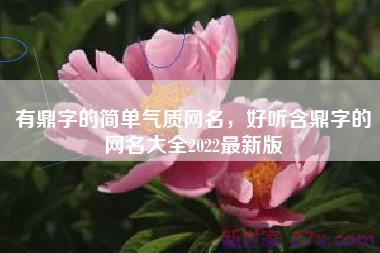 有鼎字的简单气质网名，好听含鼎字的网名大全2022最新版