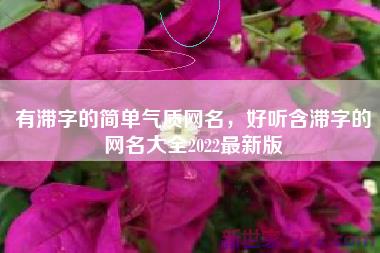 有滞字的简单气质网名，好听含滞字的网名大全2022最新版
