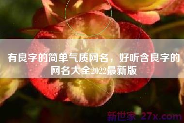 有良字的简单气质网名，好听含良字的网名大全2022最新版