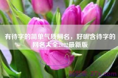 有待字的简单气质网名，好听含待字的网名大全2022最新版