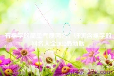 有裸字的简单气质网名，好听含裸字的网名大全2022最新版