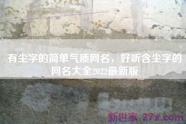 有尘字的简单气质网名，好听含尘字的网名大全2022最新版