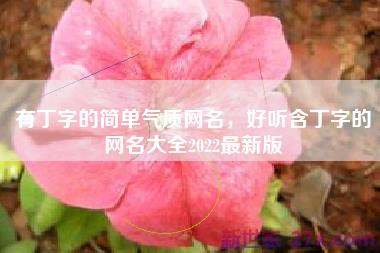 有丁字的简单气质网名，好听含丁字的网名大全2022最新版