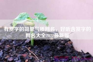 有赏字的简单气质网名，好听含赏字的网名大全2022最新版