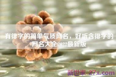 有徘字的简单气质网名，好听含徘字的网名大全2022最新版