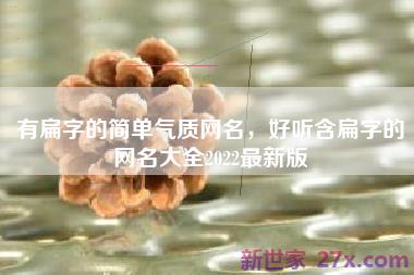 有扁字的简单气质网名，好听含扁字的网名大全2022最新版