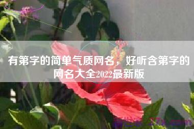 有第字的简单气质网名，好听含第字的网名大全2022最新版