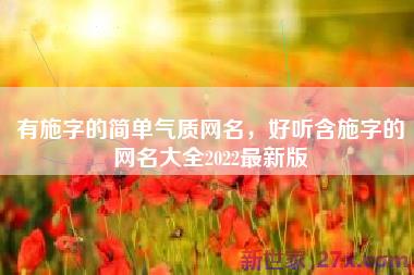 有施字的简单气质网名，好听含施字的网名大全2022最新版