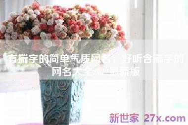 有揣字的简单气质网名，好听含揣字的网名大全2022最新版