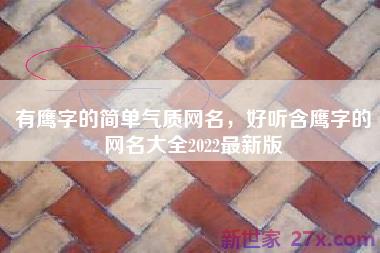 有鹰字的简单气质网名，好听含鹰字的网名大全2022最新版