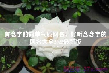 有念字的简单气质网名，好听含念字的网名大全2022最新版