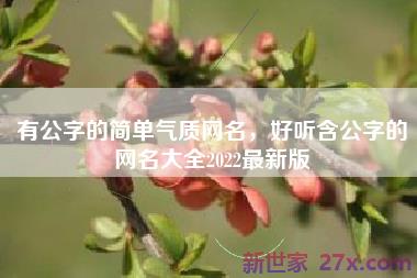 有公字的简单气质网名，好听含公字的网名大全2022最新版