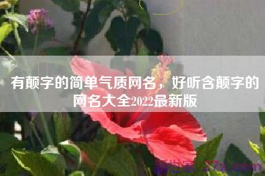 有颠字的简单气质网名，好听含颠字的网名大全2022最新版
