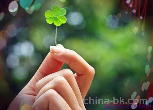 早安心语正能量一句话