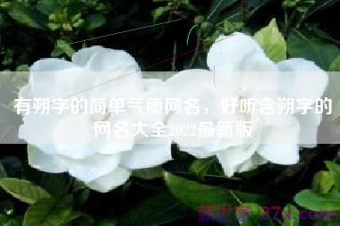 有朔字的简单气质网名，好听含朔字的网名大全2022最新版