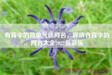 有背字的简单气质网名，好听含背字的网名大全2022最新版