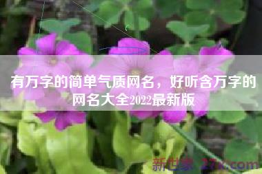 有万字的简单气质网名，好听含万字的网名大全2022最新版