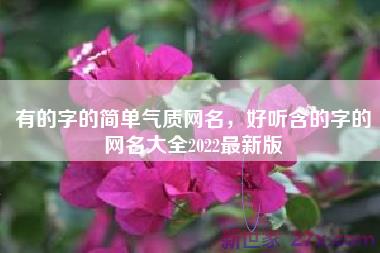 有的字的简单气质网名，好听含的字的网名大全2022最新版