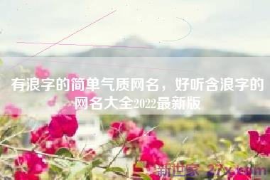 有浪字的简单气质网名，好听含浪字的网名大全2022最新版