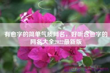 有愈字的简单气质网名，好听含愈字的网名大全2022最新版