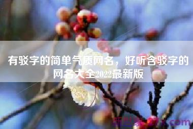 有驳字的简单气质网名，好听含驳字的网名大全2022最新版