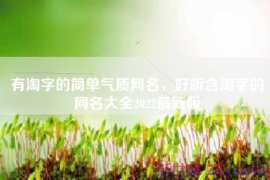 有淘字的简单气质网名，好听含淘字的网名大全2022最新版