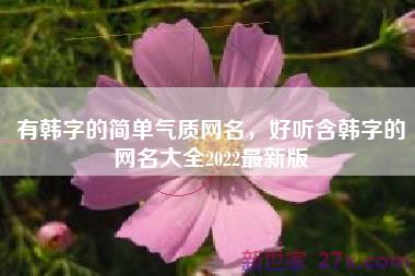 有韩字的简单气质网名，好听含韩字的网名大全2022最新版