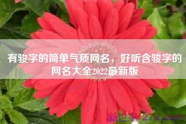 有骏字的简单气质网名，好听含骏字的网名大全2022最新版